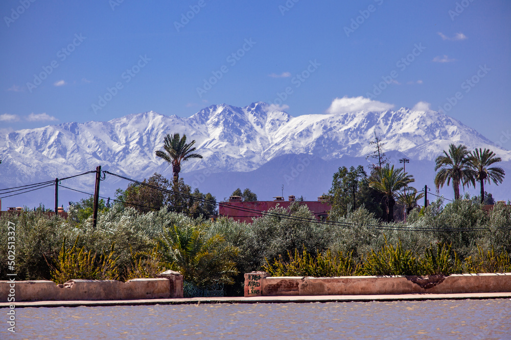 Fototapeta premium マラケシュ旧市街