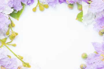Lagerstroemia purple Floral Isolated on white background. Purple flowers border frame.