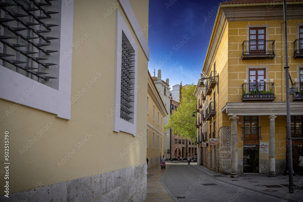 Valladolid ciudad histórica y monumental de la vieja Europa	