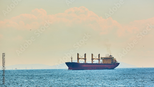 Large cargo ship in in Bosphorus Strait, Istanbul, Turkey