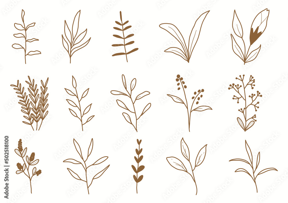 Hand drawn botanical set leaves and flowers for decoration.