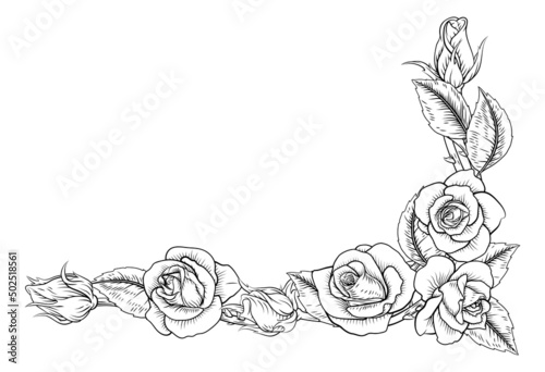 Roses Woodcut Vintage Style Flower Corner Design