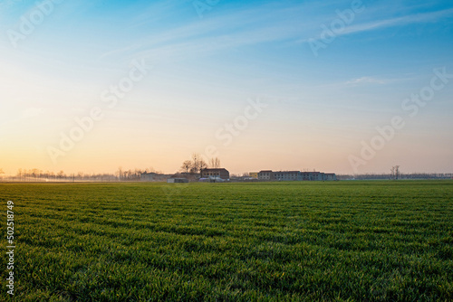 countryside landscape,wheat field with morning sunshine