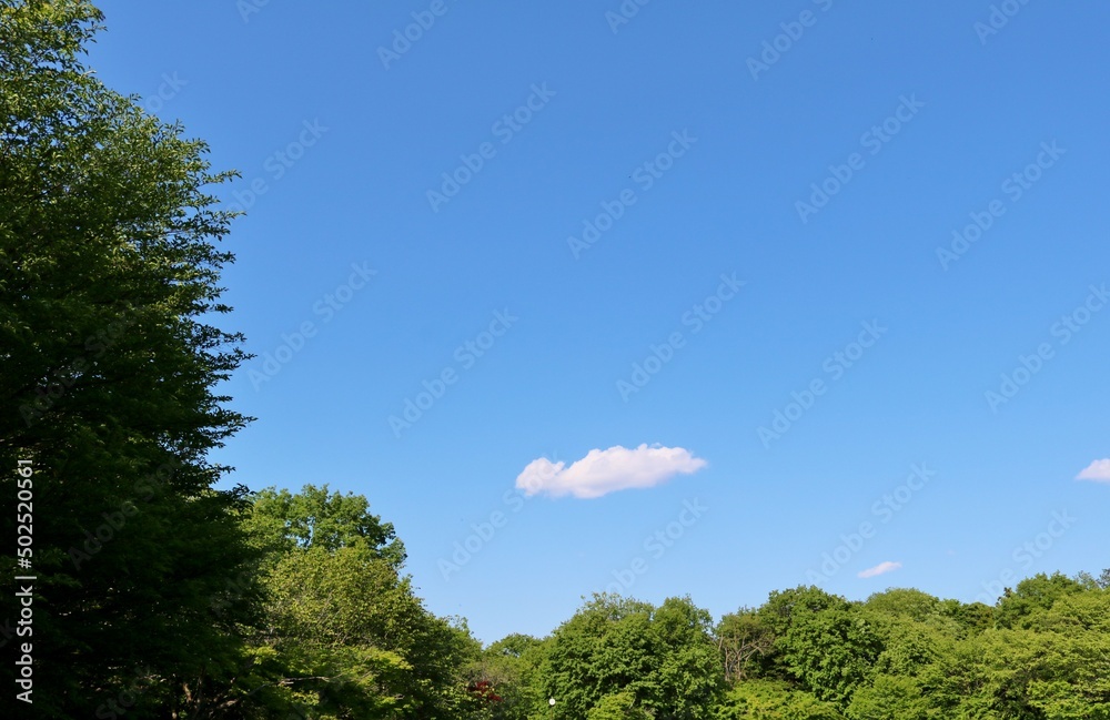 ５月の連休　爽やかな青空　赤塚公園