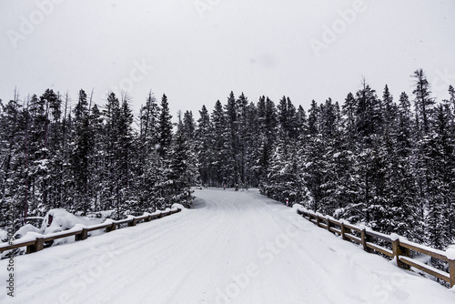 Yellowstone National Park in Winter