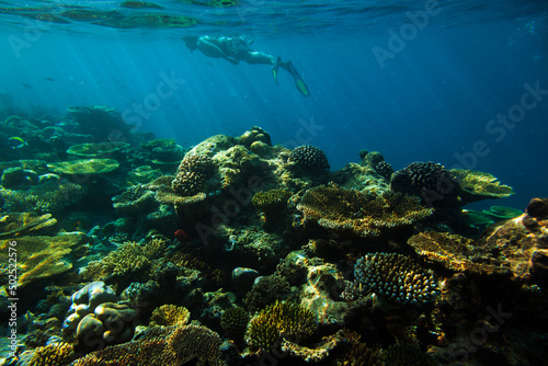 Tourist Snorkelling in Maldives