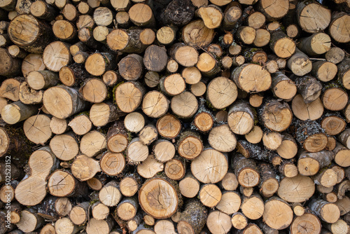Logged wood in forest - great for topics like forestry  wood as fuel