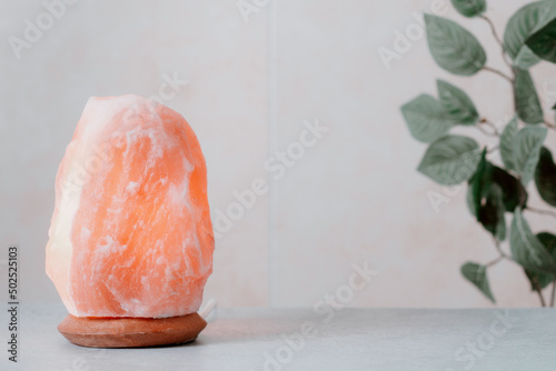 Himalayan salt lamp on table with home plants and book