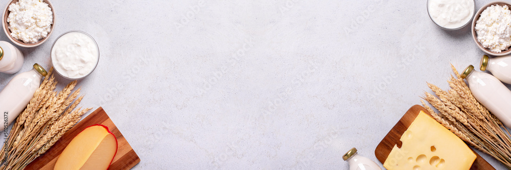 Shavuot background with dairy products and wheat on light gray background, web banner - obrazy, fototapety, plakaty 