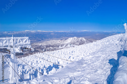 Snow monsters (soft rime) and peaks viewed from observatory. (Zao-onsen ski resort, Yamagata, Japan)