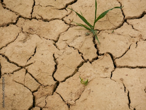 détail d'une terre aride craquelée par la sécheresse et le manque d'eau douce photo