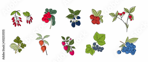 Set of vector berries isolated. Gooseberry,cranberry, blueberry. Cartoon flat