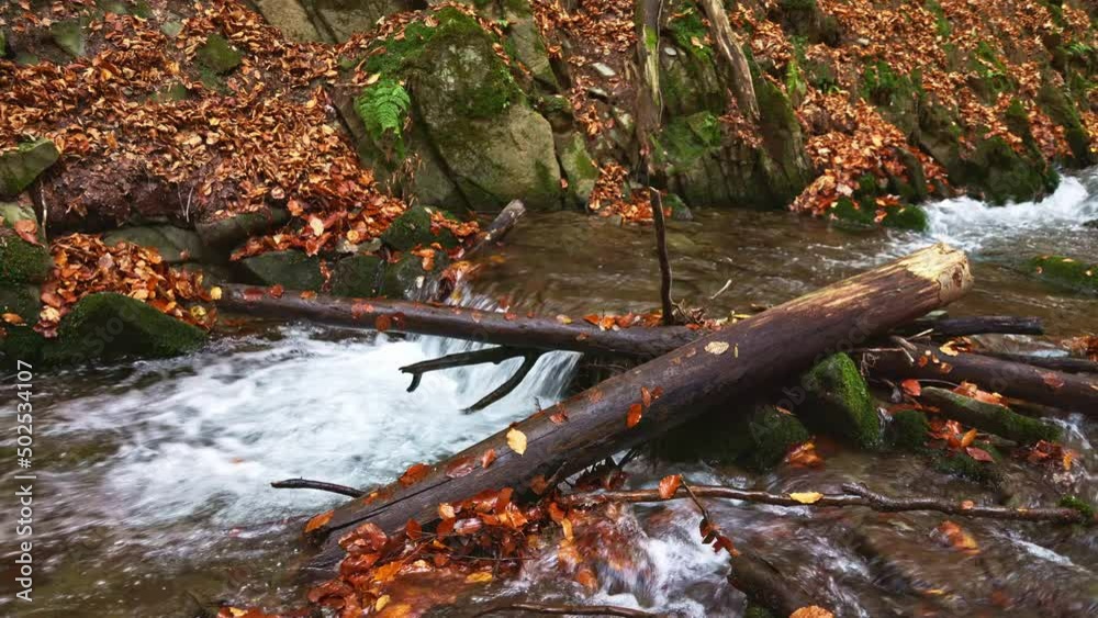 Mountain river with autumn logs and leaves Mountain river with autumn logs and leaves