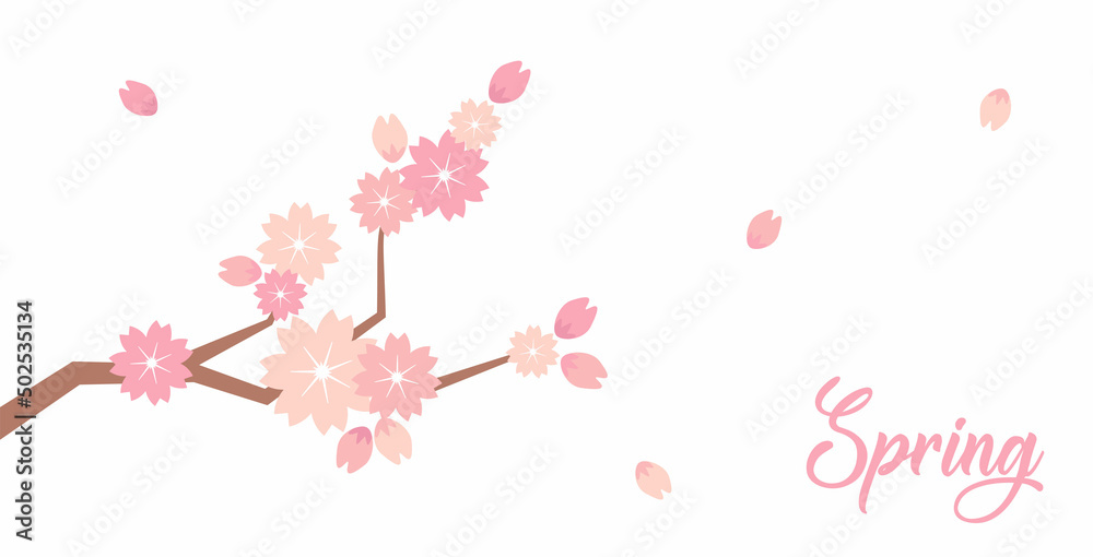 Sakura blossom branch. Falling petals, flowers. Isolated flying japanese pink cherry or apricot floral elements fall down - vector background. Lettering. Spring time. Place for text