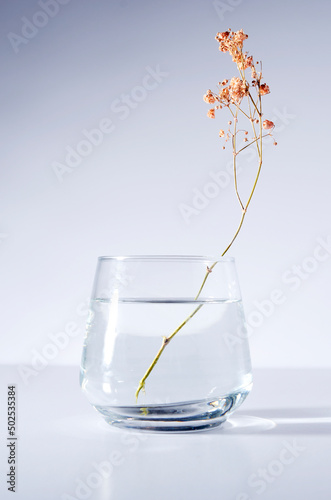 Flores secas en agua