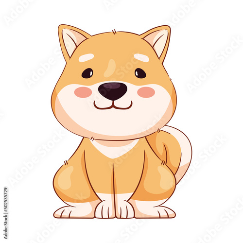 shiba inu seated