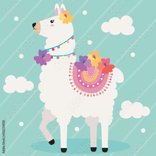 llama and clouds