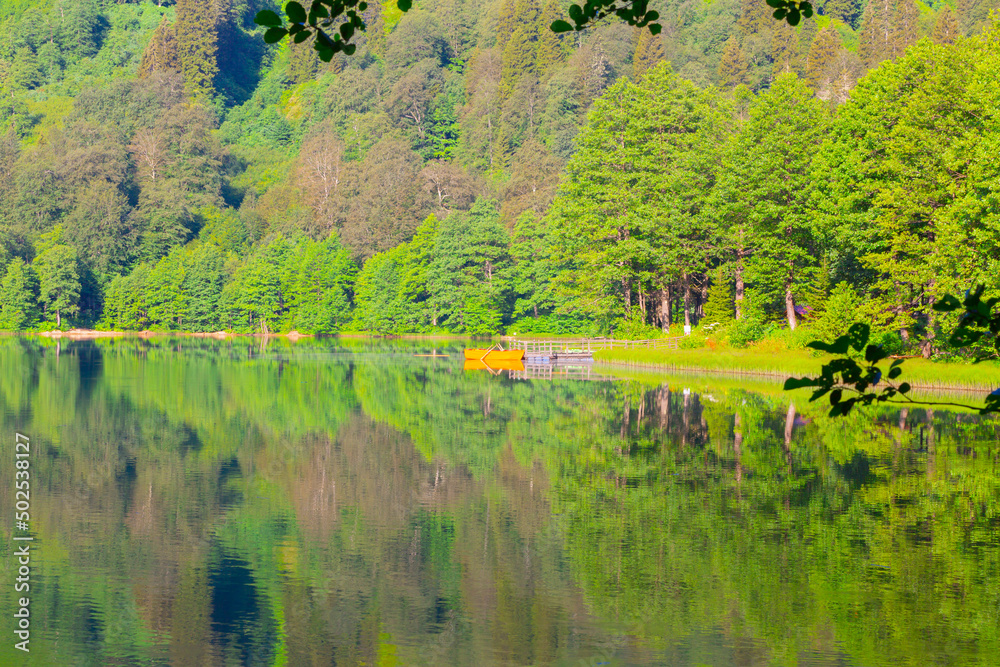 Borcka Karagol ( Black Lake ) Panorama landscape, Artvin,is a city in ...