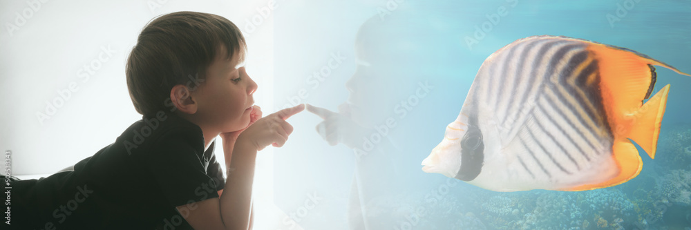 the child looks out the window on fish and the coral bottom in the aquarium