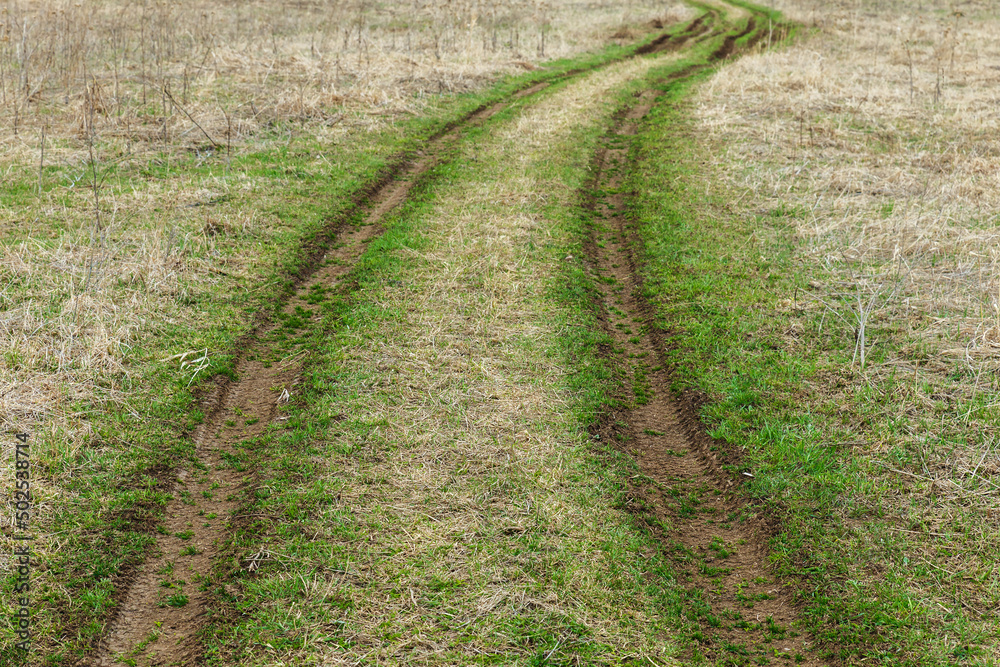 Country road in a field in early spring. Young green grass. Country road in a field in early spring. Young green grass.