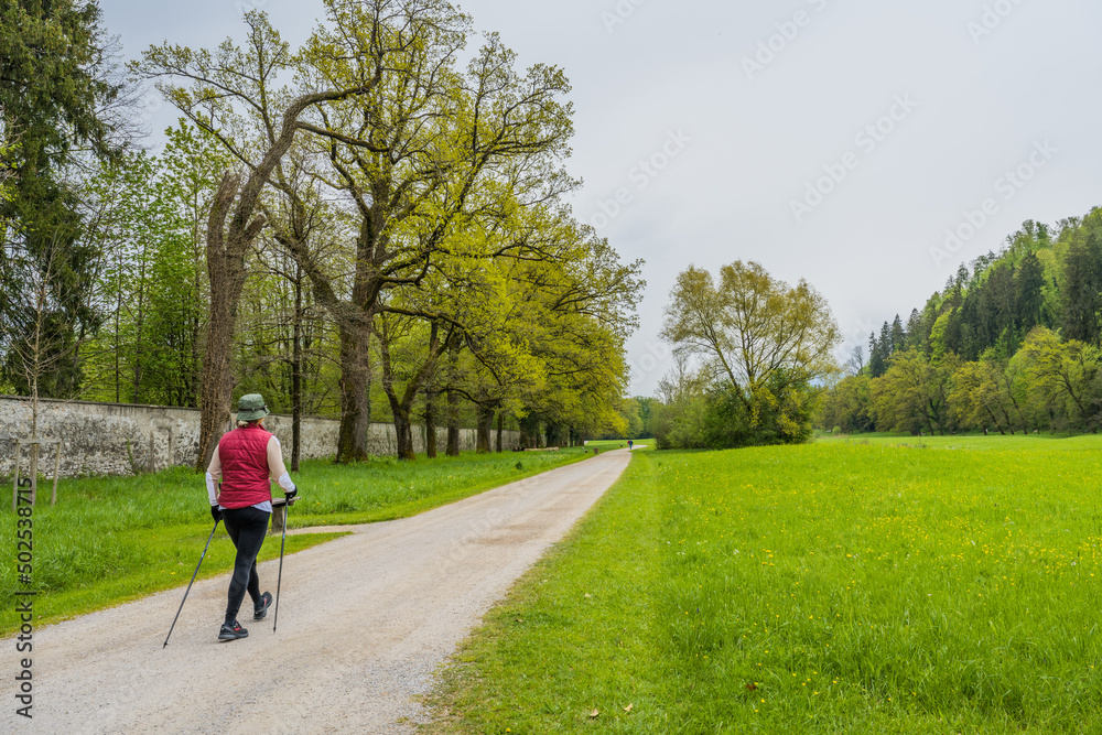 woman walking in the park woman walking in the park