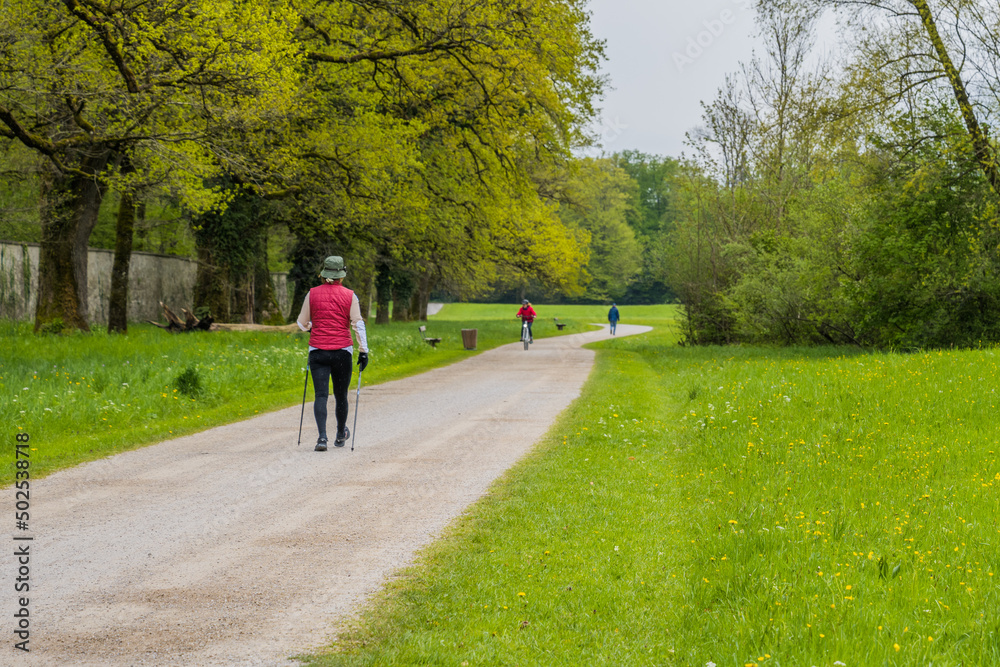 person walking in park