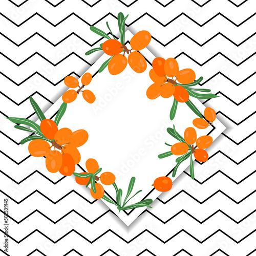 Diamond-shaped frame of sea buckthorn twigs. Beautiful food design elements on geometric background. Vector illustration
