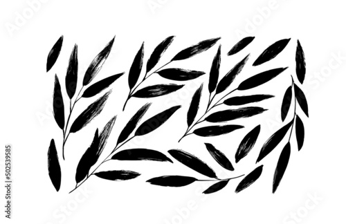 Brush branches with long leaves vector collection. Hand drawn eucalyptus foliage, herbs, tree branches. Modern brush ink illustration. Set of black silhouettes leaves isolated on white background.