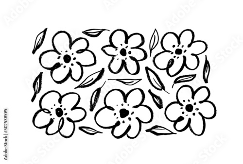 Set of linear flowers isolated on white background. Hand drawn ink drawing flowers with leaves, monochrome artistic botanical illustration. Anemones, peonies, chrysanthemums isolated cliparts.