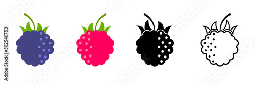 Raspberry blackberry vector icon. Natural fruit raspberry and blackberry icons. Stock vector