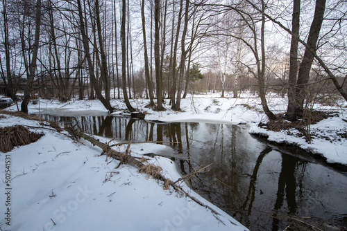 Spring landscape with a river. Snow melts in March. Evening in early spring. © Sergei