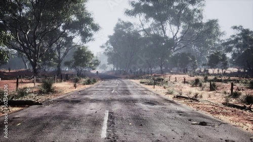 Asphalt road through the deep forest