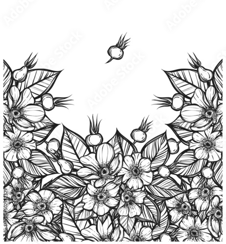 Vector illustration. Rosehip flowers  card for you  Handmade  line art style
