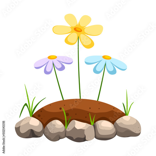 Flowers growing in soil in stone flowerbed  close-up. Concept of gardening, landscape design.