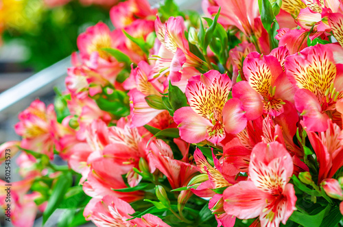 Festive bouquet of bright flowers. Astromeria. Blurred background. photo