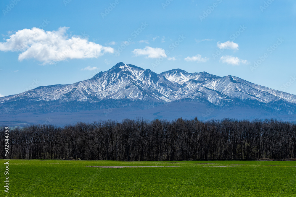 Obraz premium 北海道 知床半島の春の風景