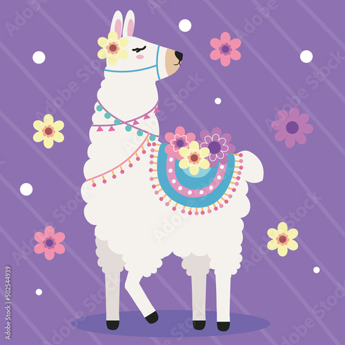 llama and flowers