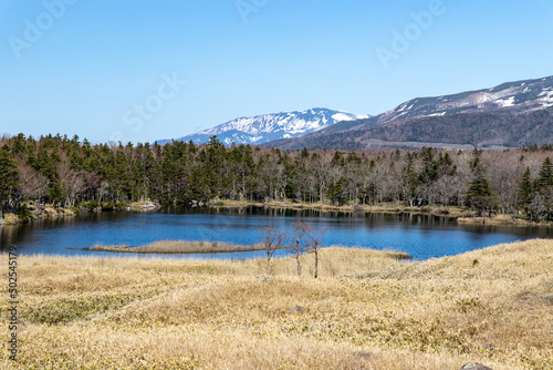 Fototapeta Naklejka Na Ścianę i Meble -  北海道　知床半島の春の風景