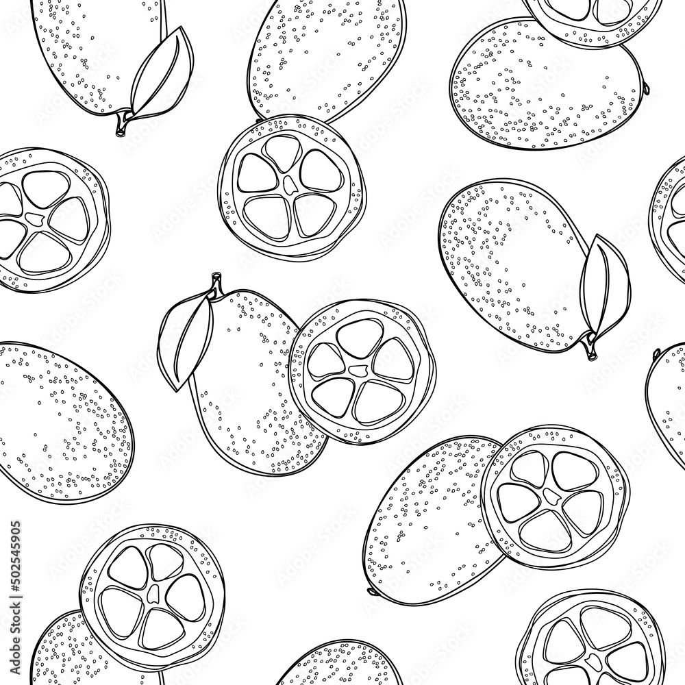 Obraz premium Seamless pattern with cumquat or kumquat with leaf. Illustration on white isolated background.