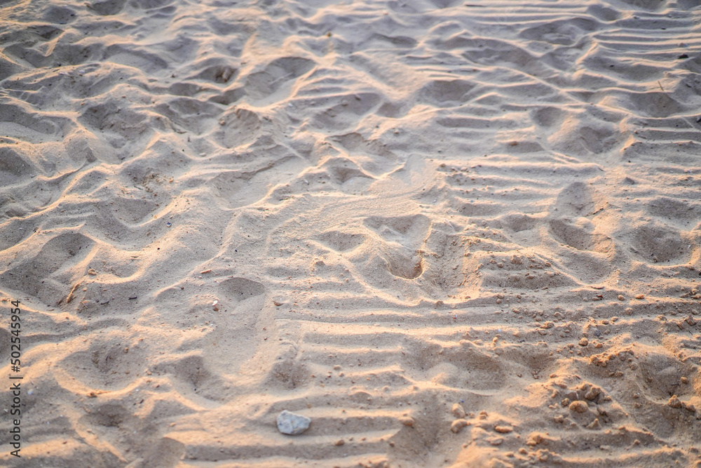 Sand on the beach for background. Brown beach sand texture as background. Sand texture background. Brown desert pattern from tropical beach. Close-up. Selective Focus Sand on the beach for background. Brown beach sand texture as background. Sand texture background. Brown desert pattern from tropical beach. Close-up. Selective Focus