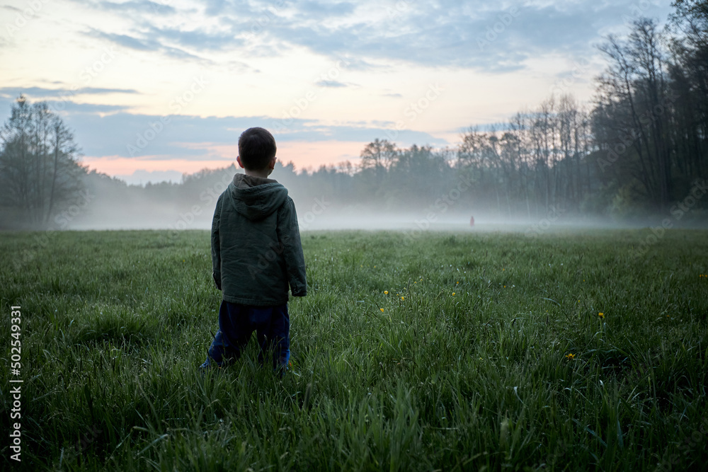 Child boy standing and looking into a foggy meadow