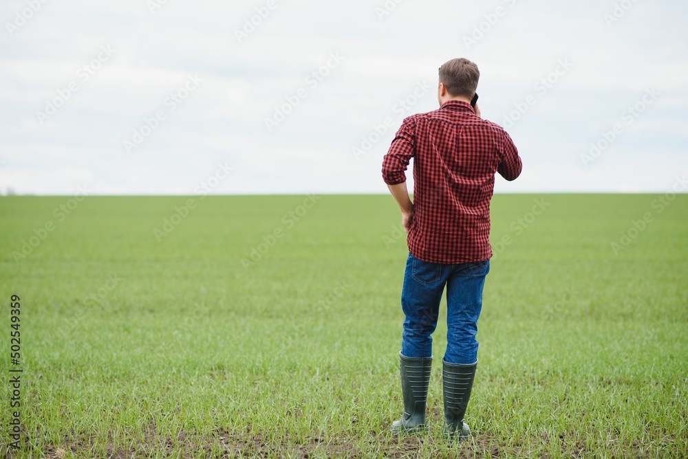 Farmer standing in field with green plants Farmer standing in field with green plants