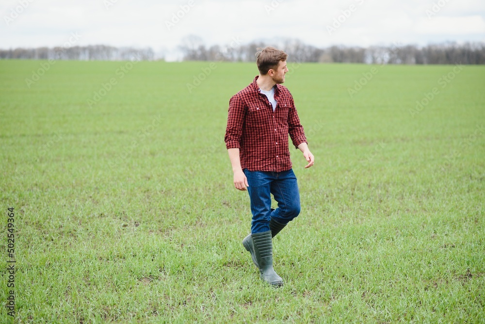 Handsome farmer. Young man walking in green field. Spring agriculture.