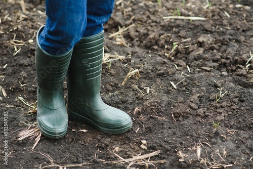 Dirty farmer's rubber boots walking on the field.