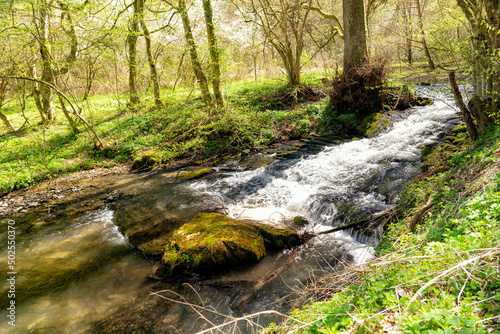 Spundelndes Wasser am Hasenbach/Taunus photo