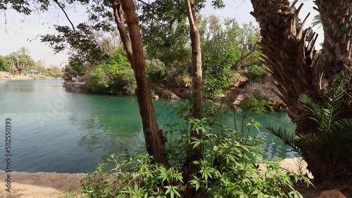 A pool of clear and clean turquoise water in the Gan Hashlosha Nature Reserve in the Valley of the Springs - Israel photo