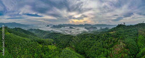 Obraz na plátně Panorama and aerial view of Doi Tapang show fog or mist cover some part of area with sunrise light