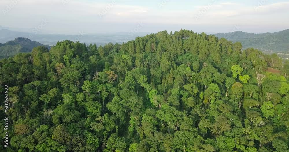 Aerial view of lush forest landscape growing on mountain peak during cloudy day in the morning Aerial view of lush forest landscape growing on mountain peak during cloudy day in the morning