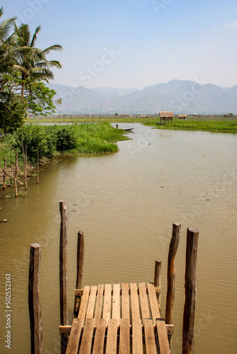 Bamboo pier at a floating village with gardens, Inle Lake Burma