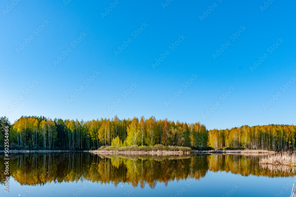 Forest and forest lakes in Samarskaya Luka National Park!